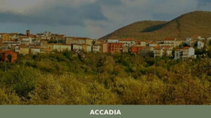 Accadia