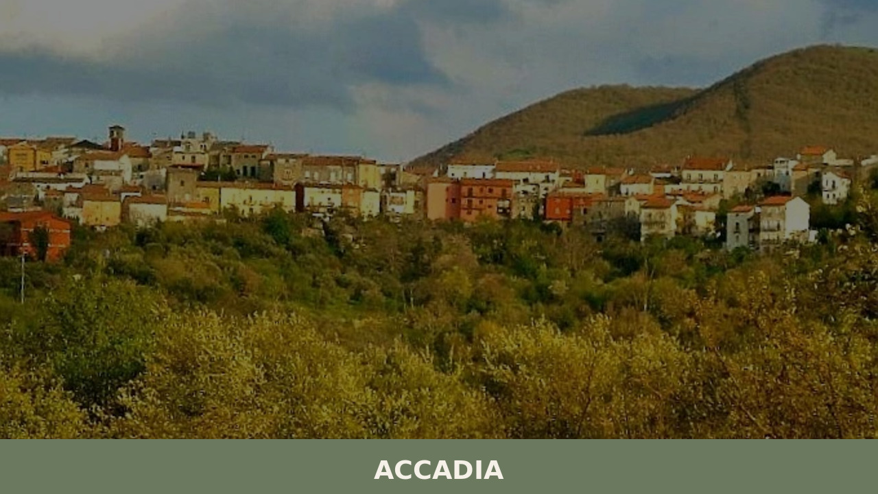 Accadia