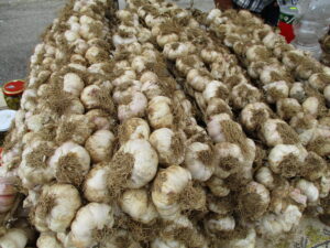 Aglio rosso di Sulmona