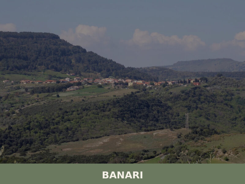 Banari