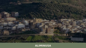 Aliminusa