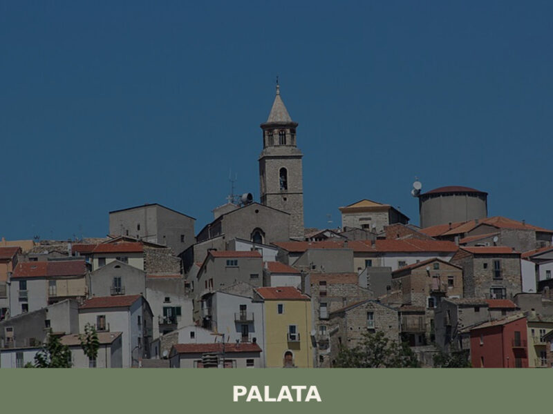 Palata