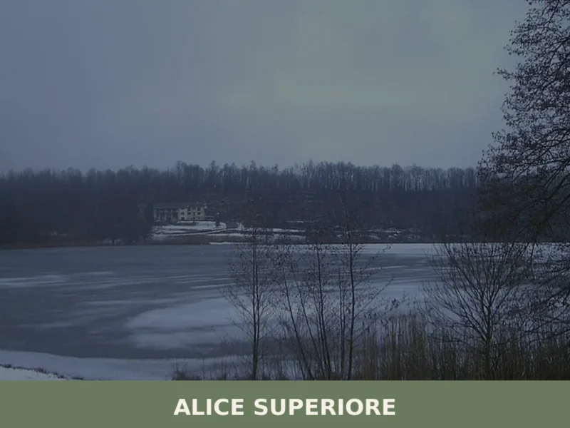 Alice Superiore