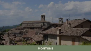 Montone
