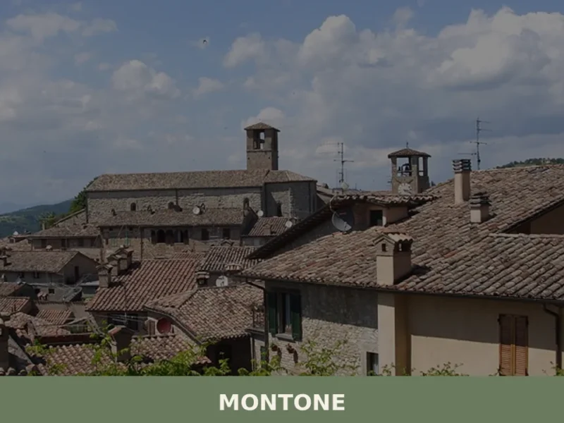 Montone
