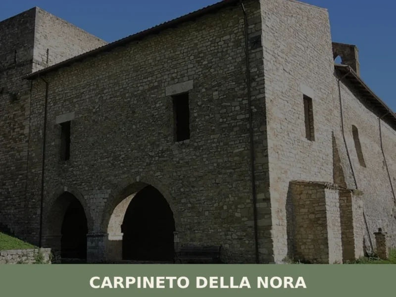 Carpineto della Nora