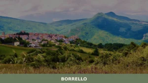 Borrello