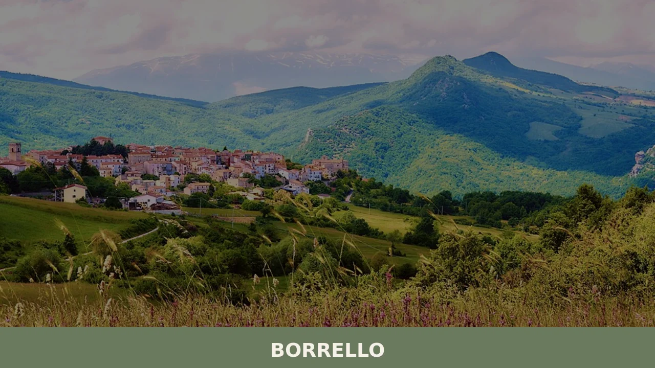 Borrello