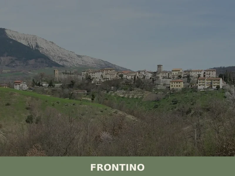 Frontino