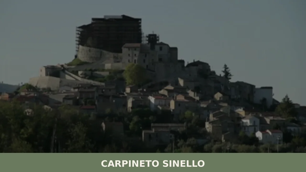 Carpineto Sinello
