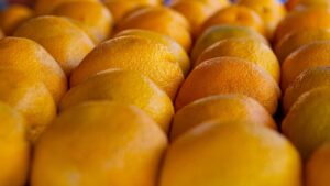 Agrumi della costa dei trabocchi